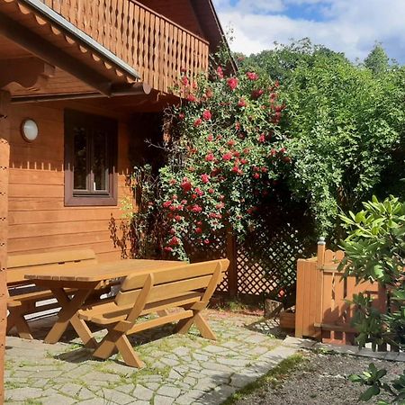 Vila Chata Gorska Sowa Dla 12 Osob, 4 Sypialnie,Salon Z Kominkiem Podgórzyn Exteriér fotografie