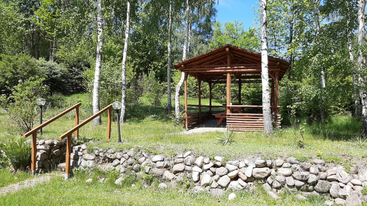 Vila Chata Gorska Sowa Dla 12 Osob, 4 Sypialnie,Salon Z Kominkiem Podgórzyn Exteriér fotografie