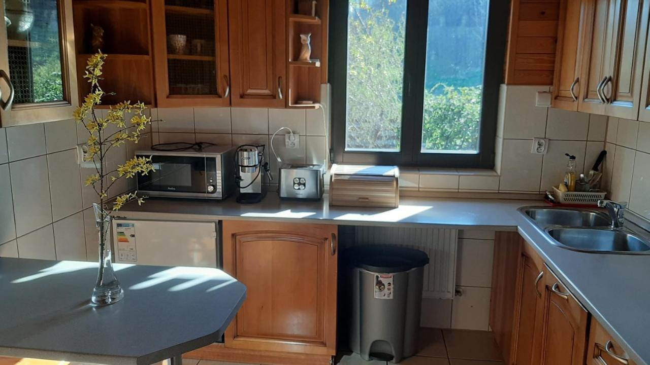 Vila Chata Gorska Sowa Dla 12 Osob, 4 Sypialnie,Salon Z Kominkiem Podgórzyn Exteriér fotografie