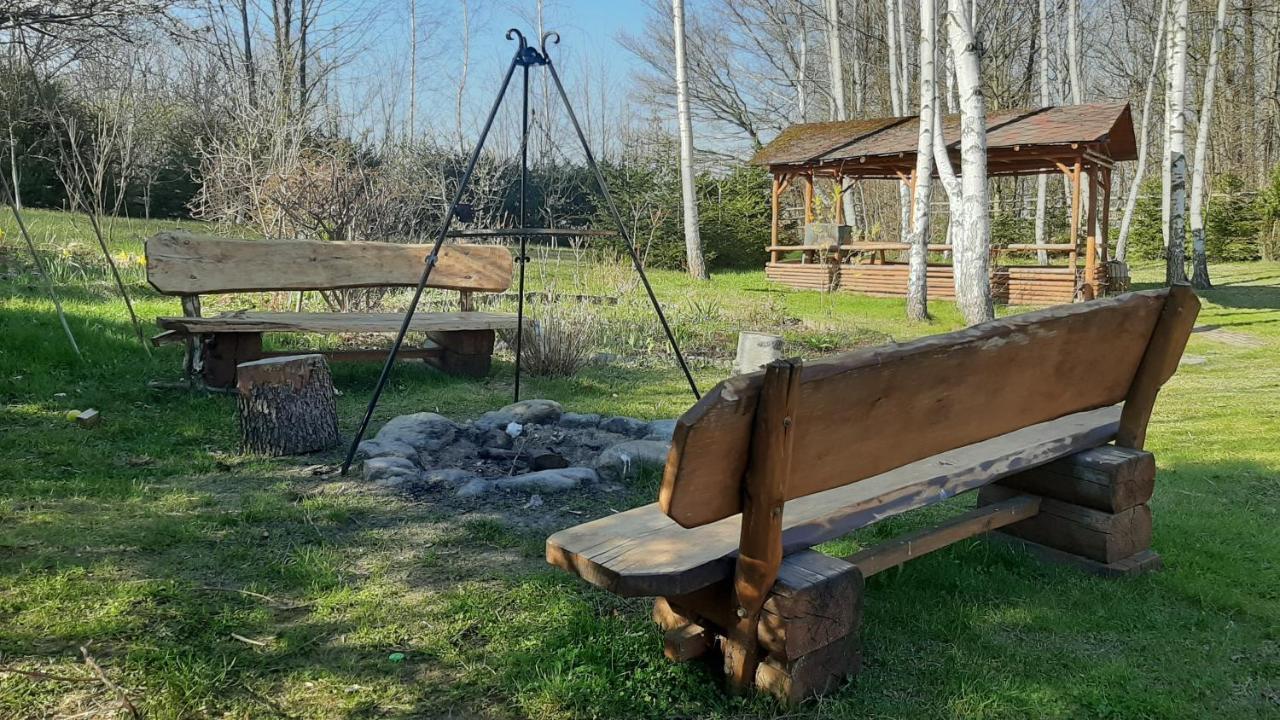 Vila Chata Gorska Sowa Dla 12 Osob, 4 Sypialnie,Salon Z Kominkiem Podgórzyn Exteriér fotografie