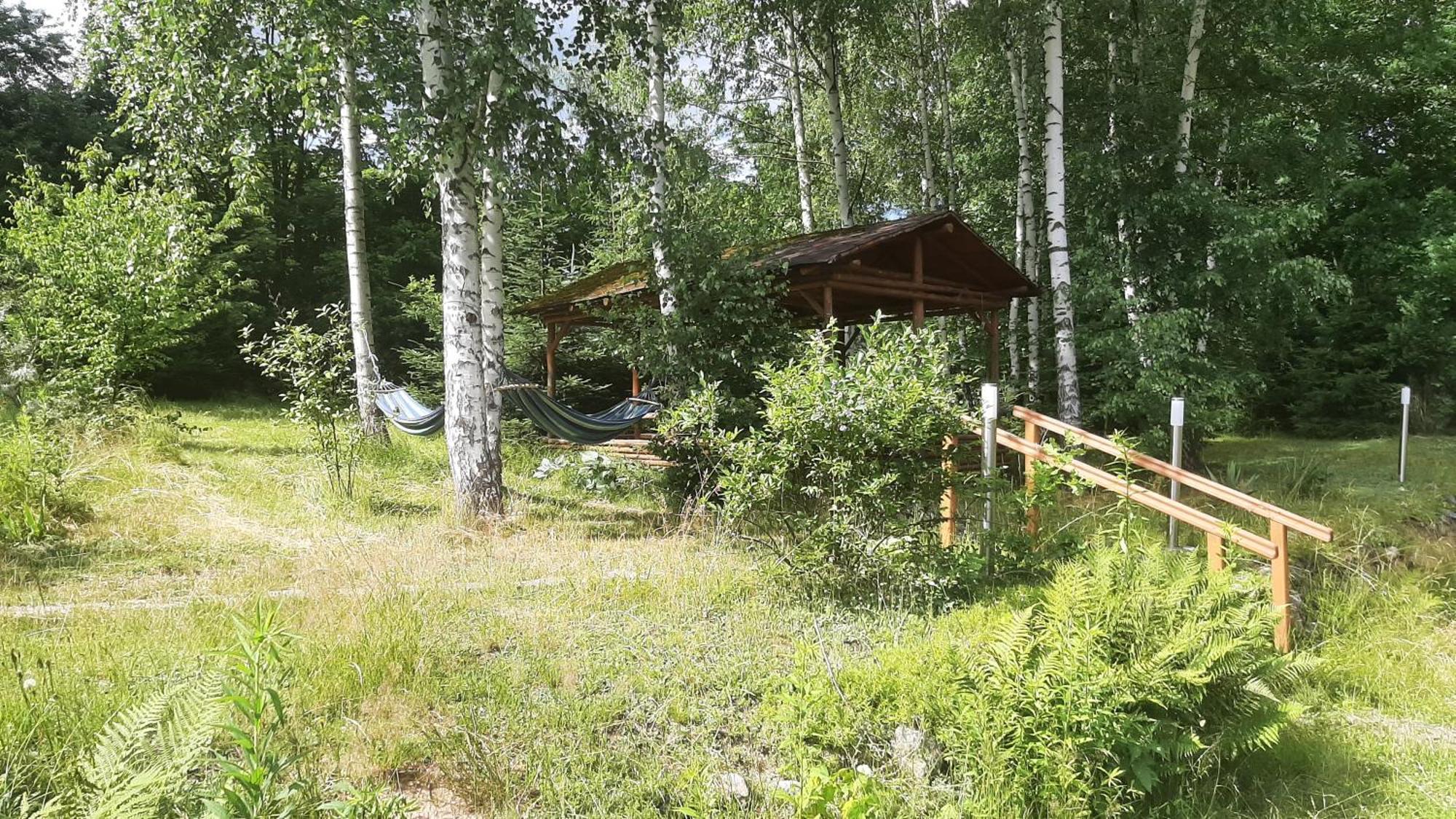 Vila Chata Gorska Sowa Dla 12 Osob, 4 Sypialnie,Salon Z Kominkiem Podgórzyn Exteriér fotografie
